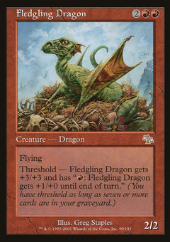 Fledgling Dragon